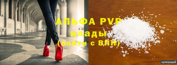 хмурый Каменка