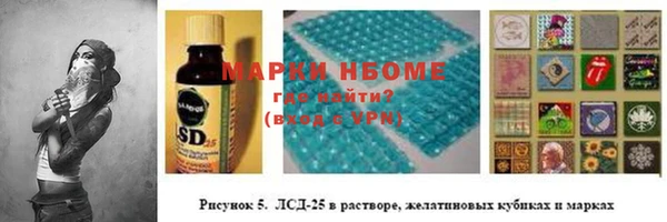 хмурый Каменка