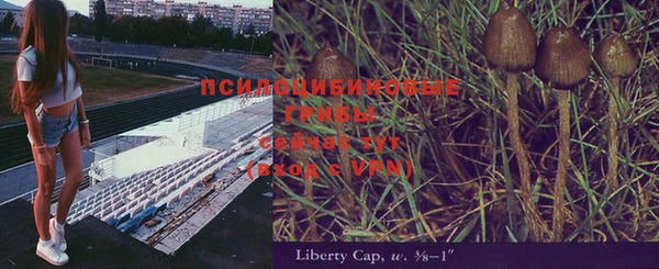 хмурый Каменка