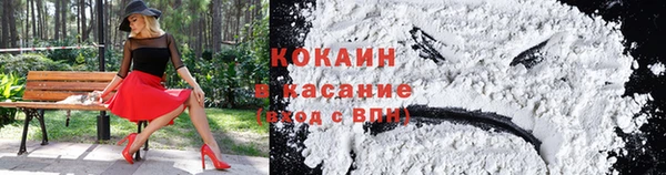 mdpv Каменногорск
