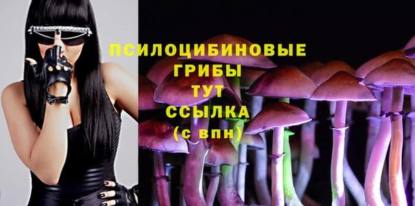 хмурый Каменка
