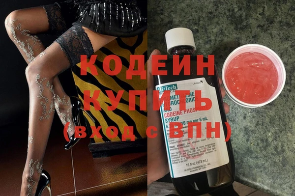 хмурый Каменка