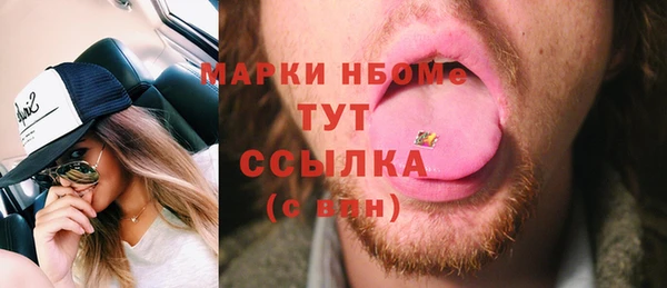 хмурый Каменка