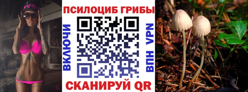 Купить  Афипский  Псилоцибиновые грибы Magic Shrooms 