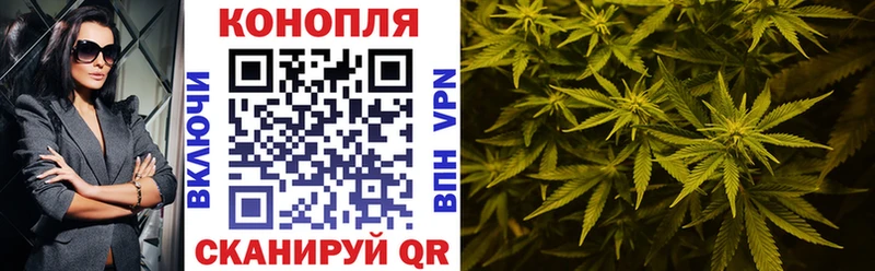 Купить  Афипский  Конопля план 